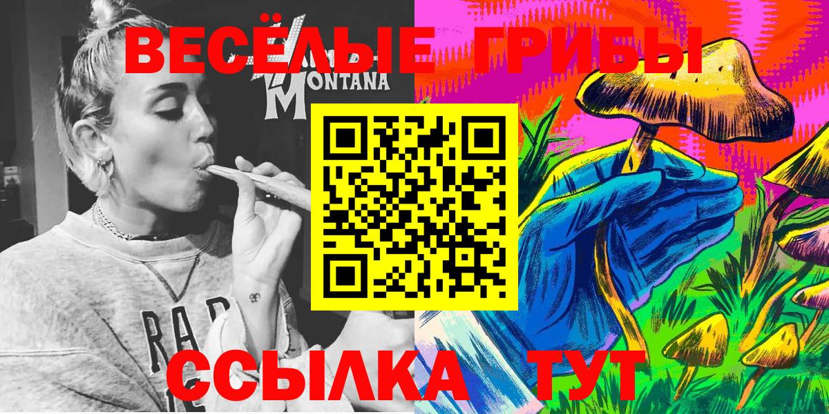 Псилоцибиновые грибы Magic Shrooms  Псилоцибиновые грибы Psilocybine cubensis  Вход с VPN  Междуреченск 