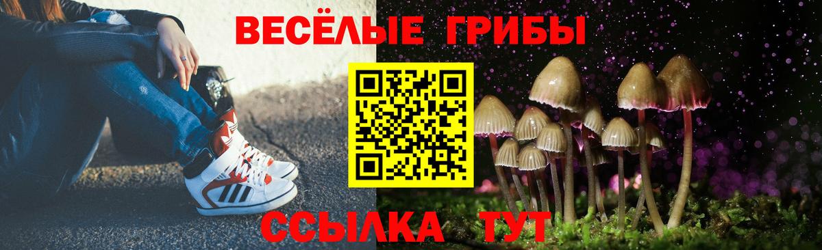 Alpha PVP Междуреченск